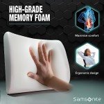Samsonite Memory Foam Lumbar Support Pillow