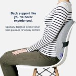 Cushion Lab Lumbar Pillow for Back Pain Relief