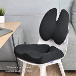 Cushion Lab Lumbar Pillow for Back Pain Relief