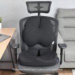 Cushion Lab Lumbar Pillow for Back Pain Relief