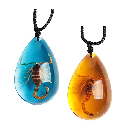 Amber Scorpion Inclusion Pendant Necklace Set