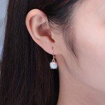 Rose Gold Opal Drop Earrings for Women