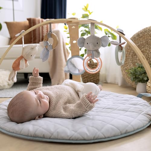 Ingenuity Cozy Spot Play Mat with Arch and Toys