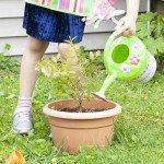 Melissa & Doug Flower Watering Can Toy