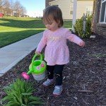 Melissa & Doug Flower Watering Can Toy