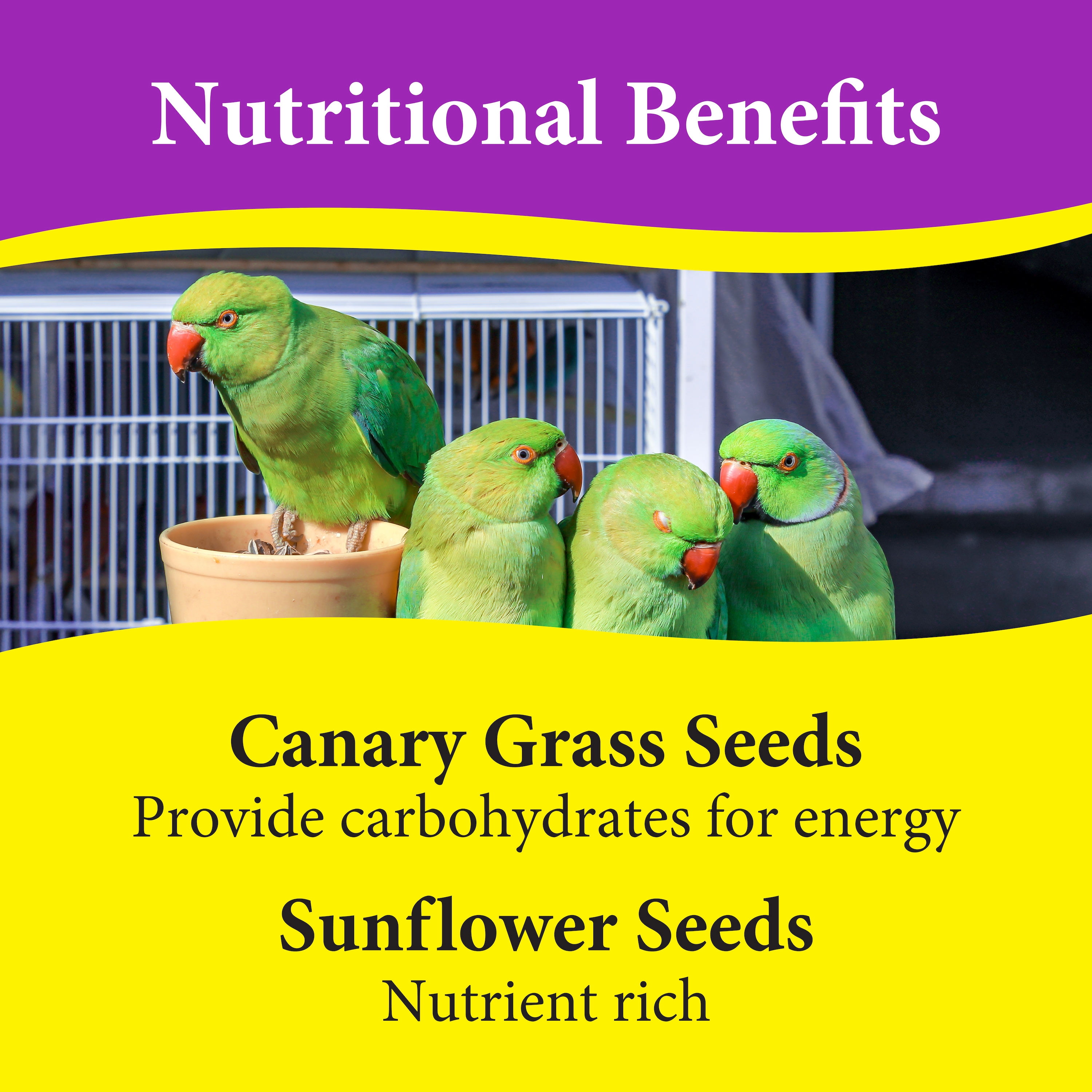 Premium Cockatiel Mix Bird Food - 9lb Bag