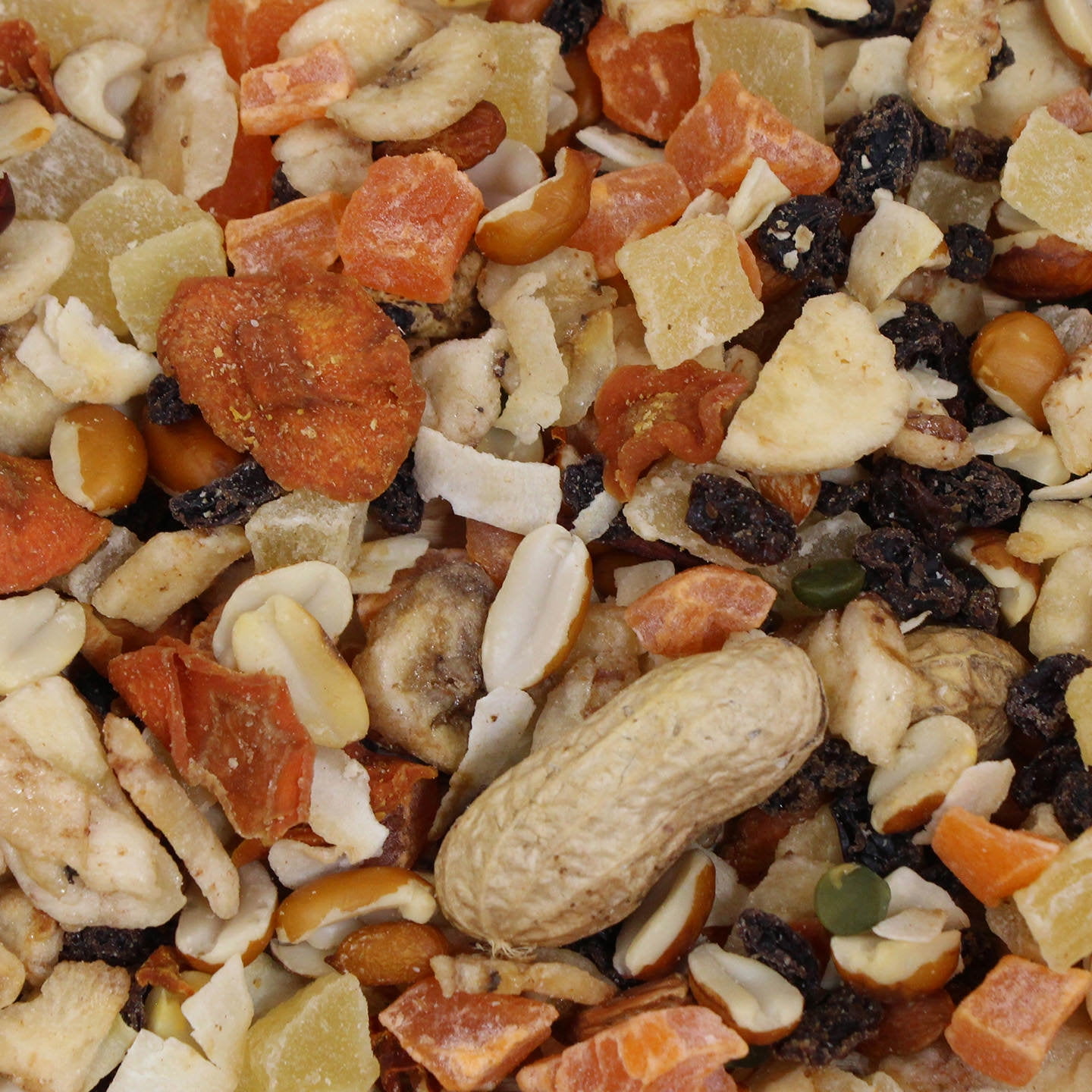 Tropical Parrot Fruit Blend Treats