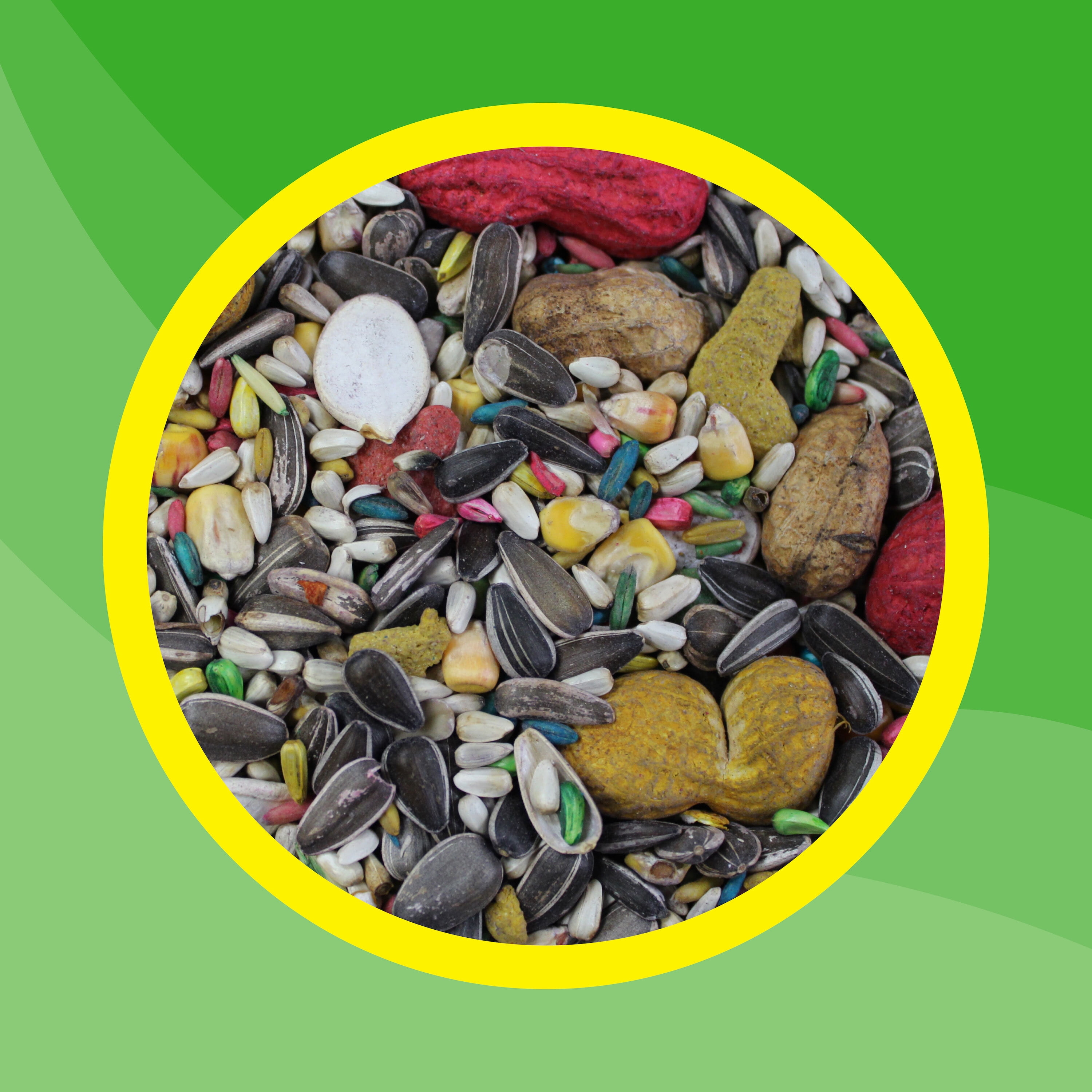 Premium Parrot Seeds: 8lb Bag by 3-D Pet Products