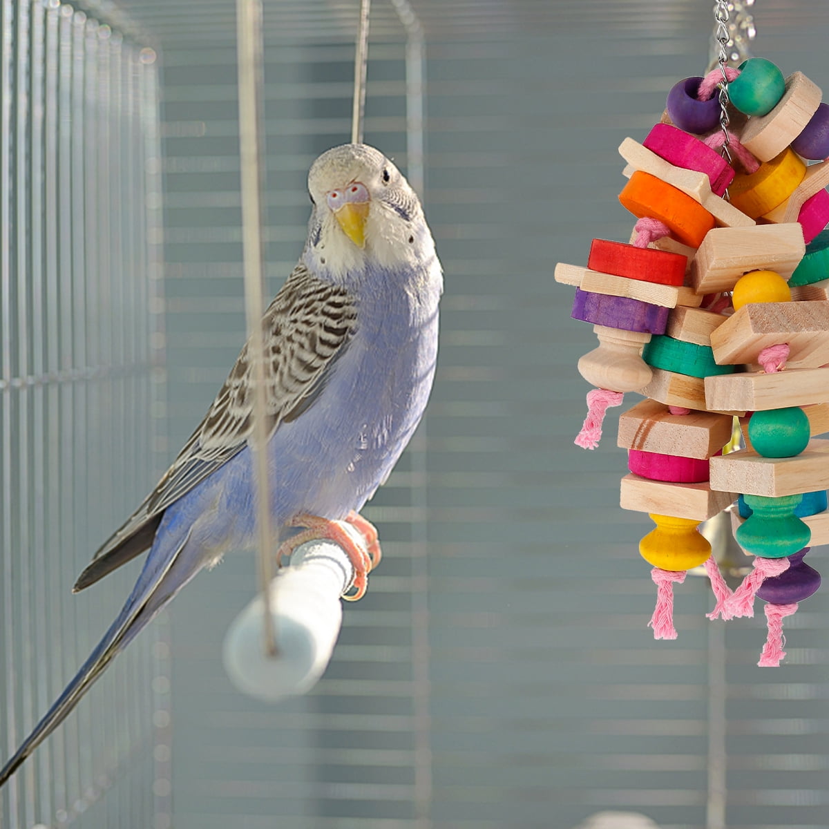 DIY Adjustable Height Parrot Chewing Toy