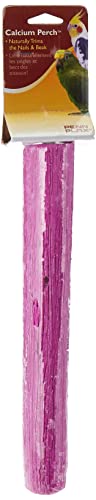12” Calcium Bird Perch for Large Parrots