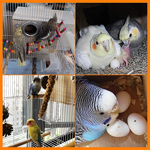 Bird Breeding Nest Box for Parrots