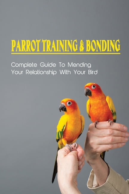 Complete Guide to Bonding with Your Parrot