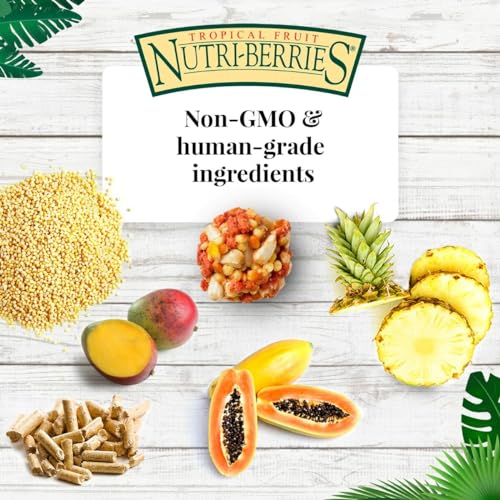 Tropical Fruit Nutri-Berries for Parrots, 3 lb