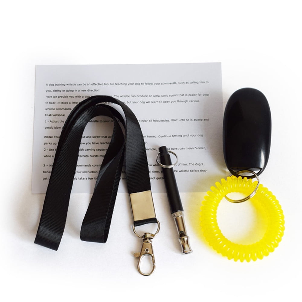 Pet Training Whistle & Clicker for Parrots