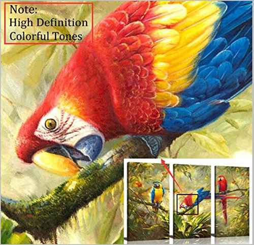 Abstract Parrot Wall-Art Canvas Print - Home Decor