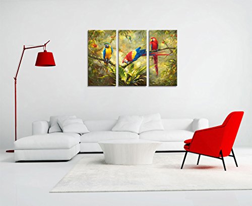 Abstract Parrot Wall-Art Canvas Print - Home Decor