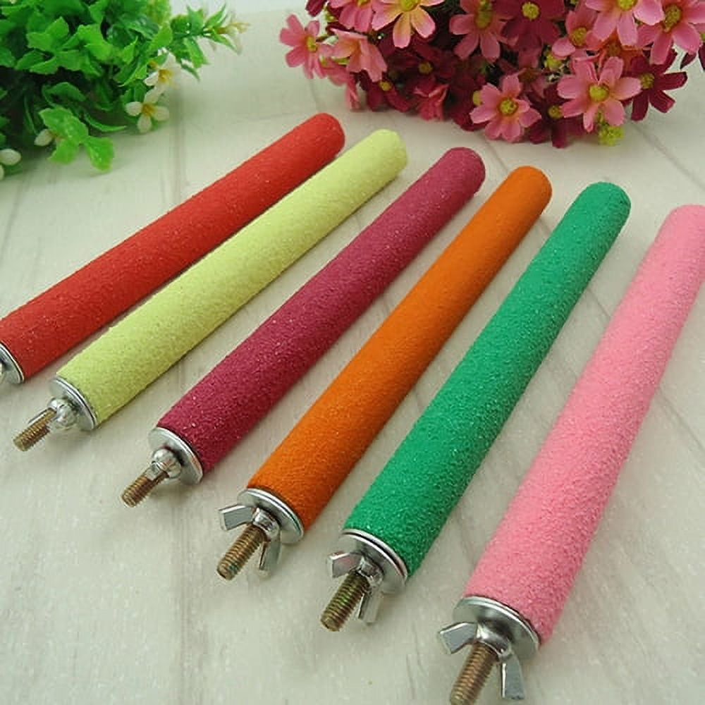 Parrot Cage Perch with Molar Wood Stick