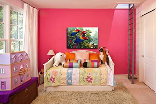 Parrot Canvas Art Print - 24x16 Inches