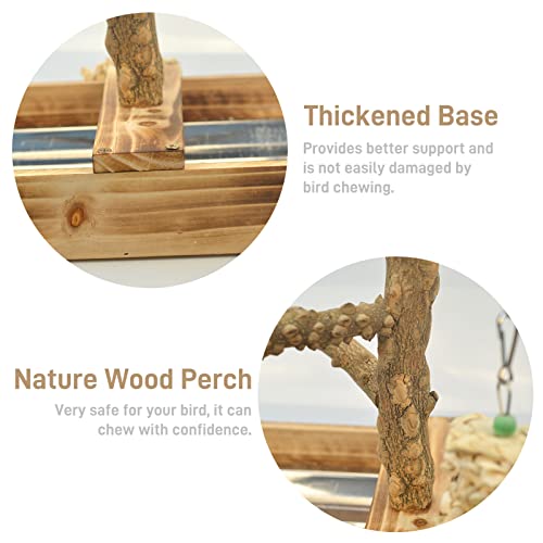 Natural Wood Bird Playground with Accessories and Cups