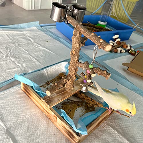 Natural Wood Bird Playground with Accessories and Cups