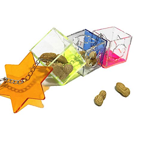 Creative Parrot Foraging Toys & Treat Box