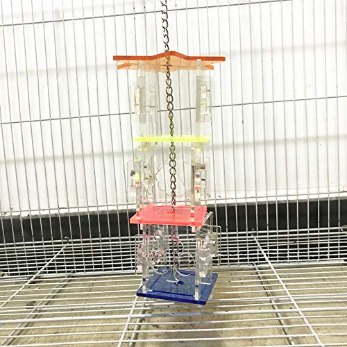 Creative Parrot Foraging Toys & Treat Box