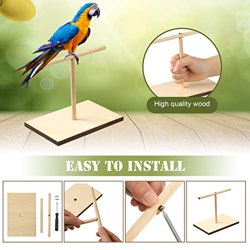 Parrot Training Kit with Clicker and Perch