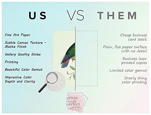 Tropical Parrot Art Prints Set - 8x10 (Unframed)