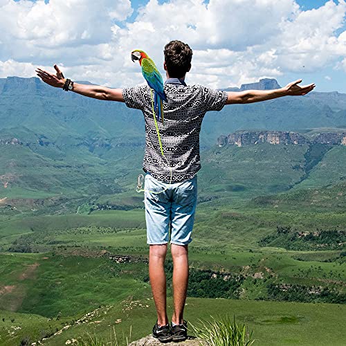 Parrot Leash with Soft Foot Loops & Training Whistle