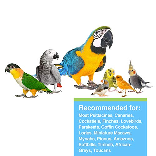 Parrot Seed Supplement with Vitamins & Minerals