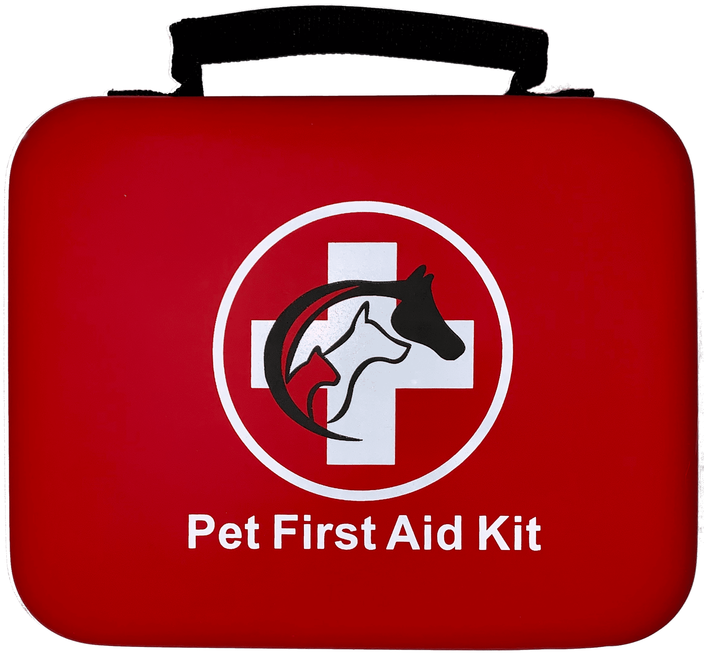 First Aid