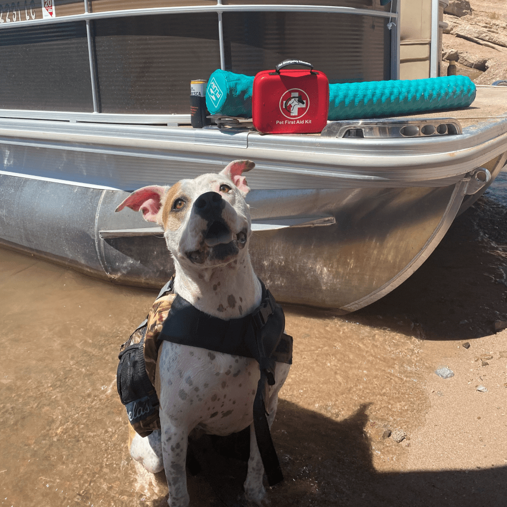 Deluxe Pet First Aid Kit 60 pc Veterinarian Approved