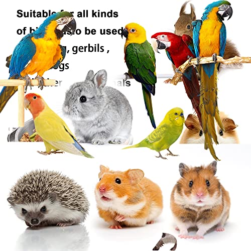 Stainless Steel Bird Feeding Cups (3-Pack)