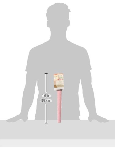 PENN-PLAX Bird-Life Cement Trimmer Bird Perch – Naturally Trims Nails & Beak – Great for Parrots, Cockatoos, Macaws, and Other Large Birds – 10” Long