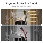 Ergonomic Electric Standing Desk with Drawers