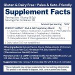 PerfectAmino Vanilla Powder - BCAA & EAA Support