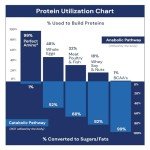 PerfectAmino Vanilla Powder - BCAA & EAA Support