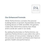 PerfectAmino Vanilla Powder - BCAA & EAA Support