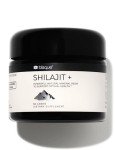Blisque Pure Himalayan Shilajit Resin Supplement 60g