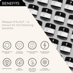 Blisque Pure Himalayan Shilajit Resin Supplement 60g