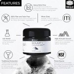 Blisque Pure Himalayan Shilajit Resin Supplement 60g