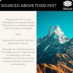 Blisque Pure Himalayan Shilajit Resin Supplement 60g