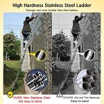 3.8m/12.5ft Telescopic Multi-Purpose Ladder