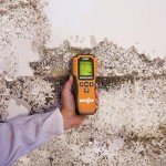 DRYZONE Moisture Meter for Wood & Masonry