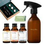 PURDY & FIGG Citrus Floral Vetiver All-Natural Counter Cleaner Kit
