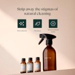 PURDY & FIGG Citrus Floral Vetiver All-Natural Counter Cleaner Kit