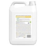 Eco-Friendly All-Purpose Cleaner with Ginger & Lemongrass