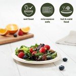 Eco-Friendly Biodegradable Sugarcane Plates - 100 Pack