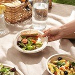 Eco-Friendly Biodegradable Sugarcane Plates - 100 Pack