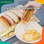 100% Biodegradable Palm Leaf Plates - 50 Pack